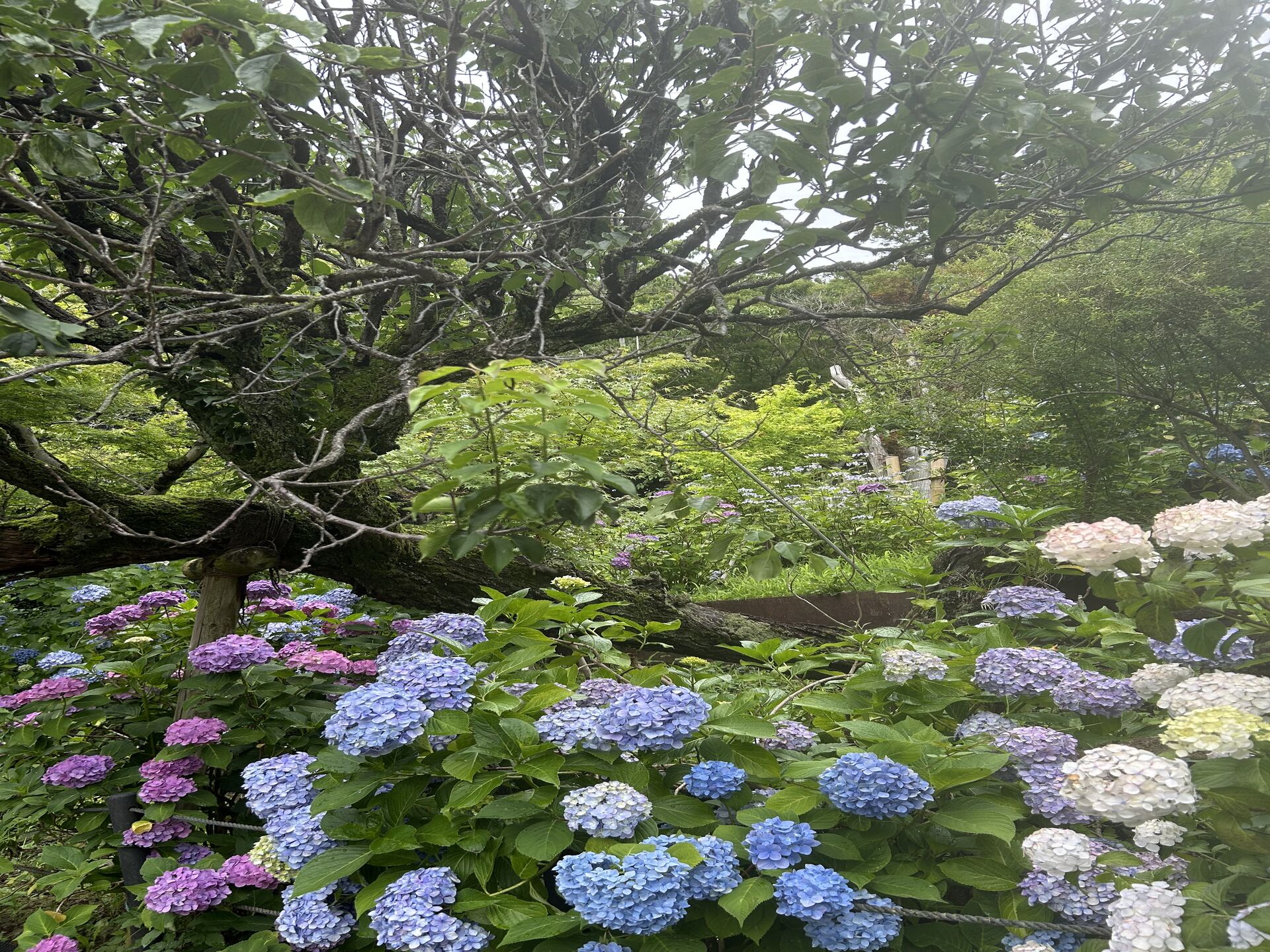 今日も幸せを感じた