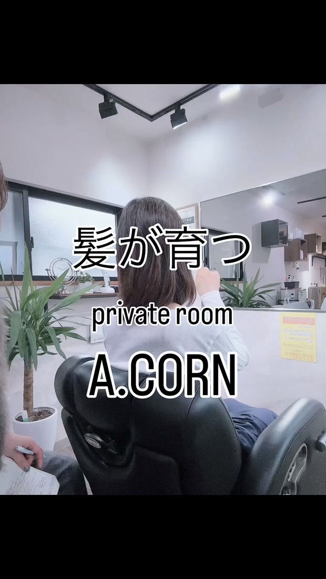 薄毛や抜け毛のご相談は